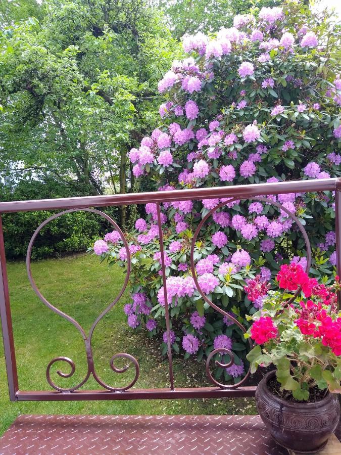 Alster City Garden Villa Гамбург Экстерьер фото